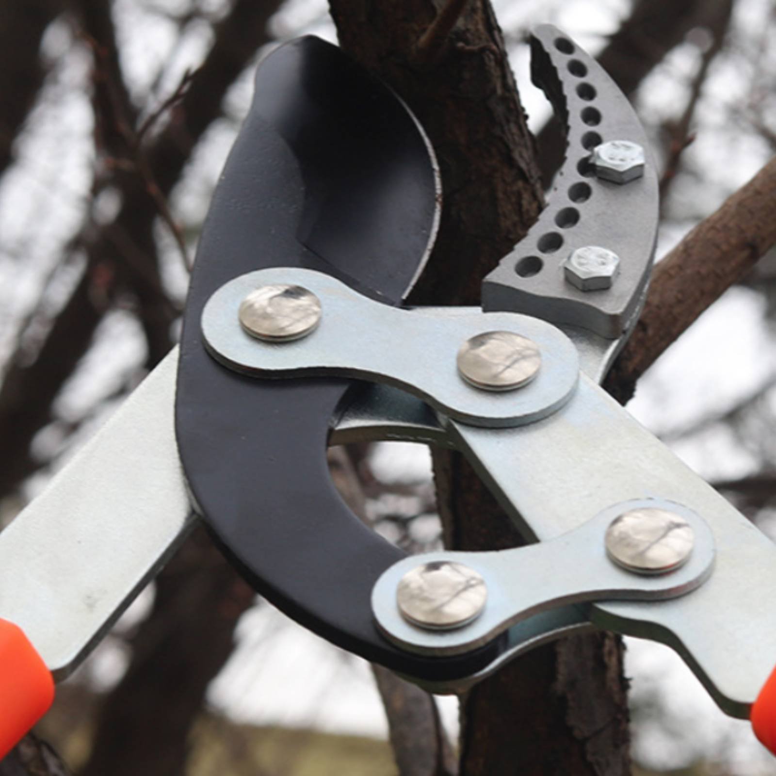 Gardening Tool - 伸縮式枝切り鋏 シャープブレード 頑丈な木剪定鋏 剪定鋏 快適なグリップ ガーデニングツール