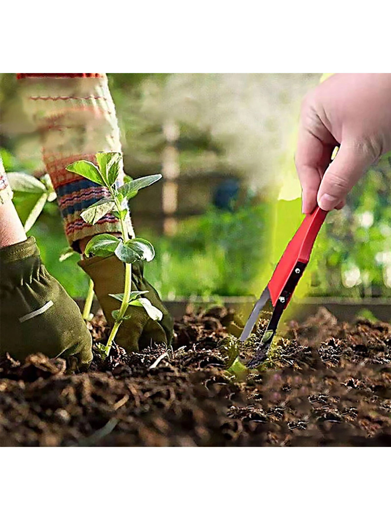 耐久性のあるプラスチック製手動除草器、V字型ヘッド付き、庭の - Weed Puller のレビューと価格