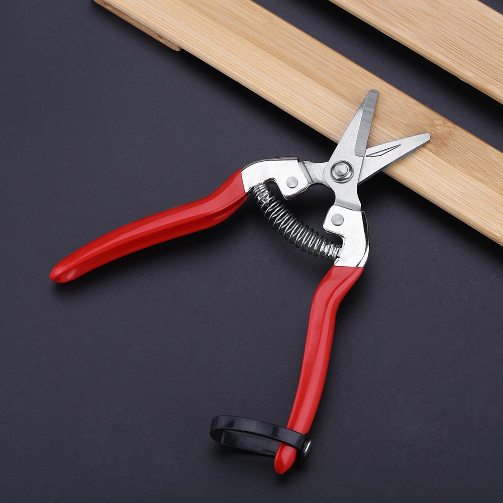 頑丈な盆栽剪定ばさみ,庭のはさみ,剪定ツール,木のはさみ - Gardening Tools For Women のレビューと価格
