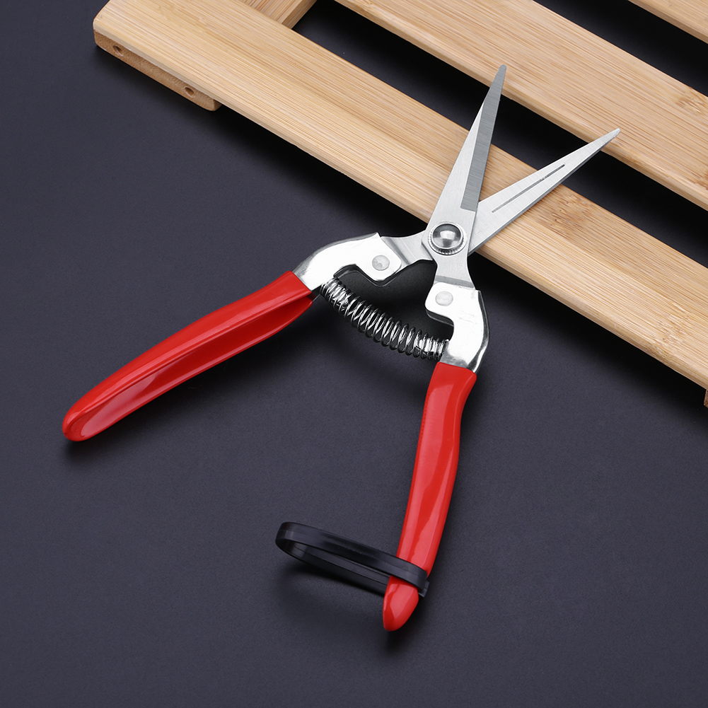頑丈な盆栽剪定ばさみ,庭のはさみ,剪定ツール,木のはさみ - Gardening Tools For Women のレビューと価格