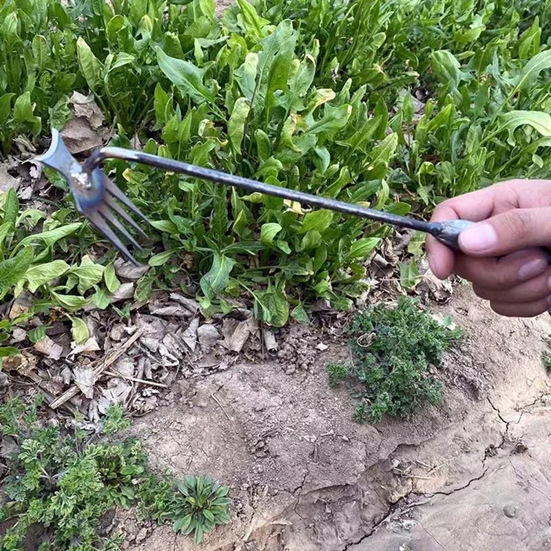 庭用除草機、マンガン鋼製手動除草機、根のない土壌をほぐす手動 - Weed Puller のレビューと価格