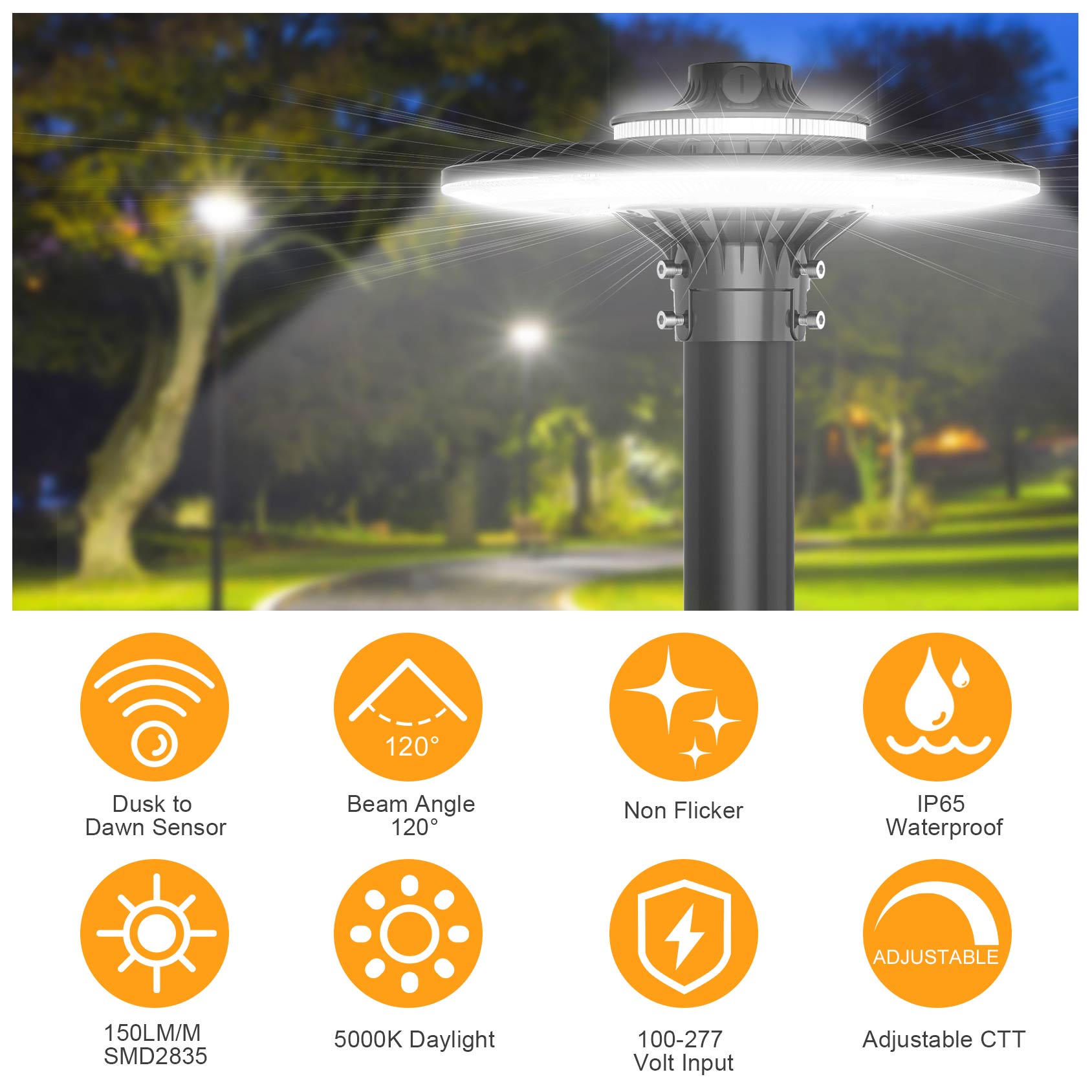 LEDポストトップ照明器具 ETL CE UL認証 100- - Gardening Tools List のレビューと価格
