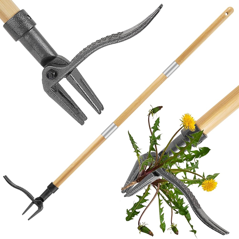長い柄の雑草抽出ツール,4つの爪のスチールヘッドを備えた竹製 - Weed Puller のレビューと価格