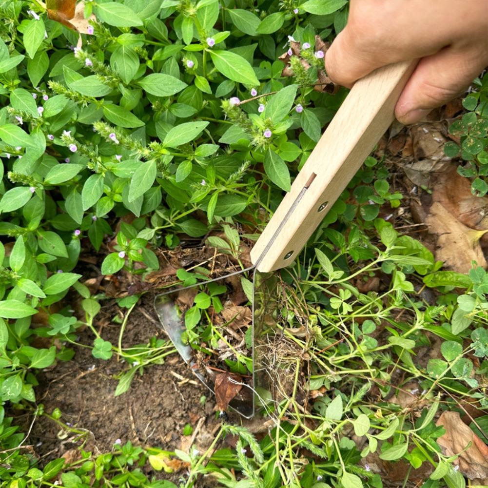 木製ハンドル付き手動除草スクレーパー、芝生や隙間の雑草除去用 - Weed Puller のレビューと価格
