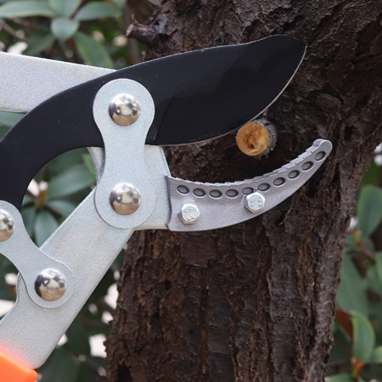 伸縮式枝切り鋏 シャープブレード 頑丈な木剪定鋏 剪定鋏 快 - Gardening Tool のレビューと価格