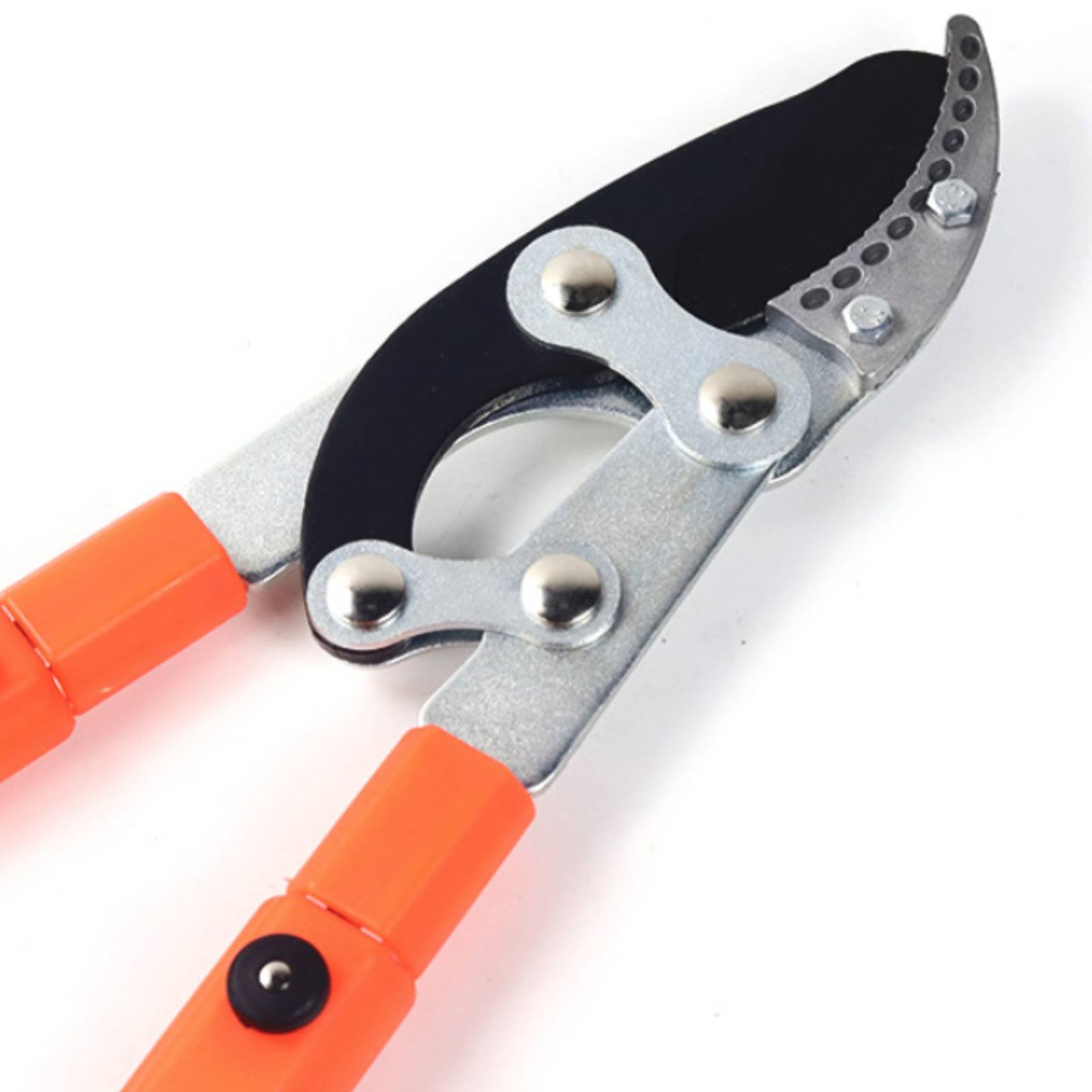 伸縮式枝切り鋏 シャープブレード 頑丈な木剪定鋏 剪定鋏 快 - Gardening Tool のレビューと価格